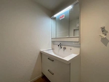 【神奈川県/横浜市戸塚区上柏尾町】東戸塚グリーンハイツ 洗面所