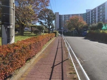 【神奈川県/横浜市戸塚区深谷町】市ドリームハイツ 2号棟 前面道路