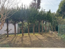 【神奈川県/横浜市戸塚区上矢部町】ベルメゾン東戸塚 専用庭