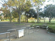 【神奈川県/横浜市栄区長沼町】コープ野村戸塚長沼 金井公園（現地より約1,200m）