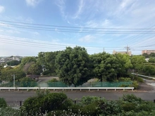 【神奈川県/横浜市保土ケ谷区藤塚町】保土ケ谷グリーンタウン I棟 眺望：バルコニーから