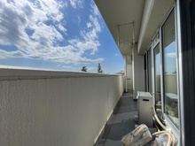 【神奈川県/横浜市戸塚区俣野町】県ドリームハイツ 20号棟 バルコニー