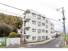【神奈川県/横浜市港北区大曽根台】コスモ綱島 外観