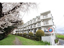 【神奈川県/横浜市港北区大曽根台】コスモ綱島 外観