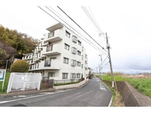 【神奈川県/横浜市港北区大曽根台】コスモ綱島 前面道路