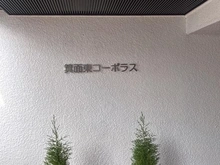 【大阪府/箕面市粟生外院】箕面東コーポテラス B棟 マンション表札