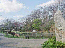 【神奈川県/横浜市青葉区松風台】ブライシス青葉台 桜台公園（現地より約230m）：