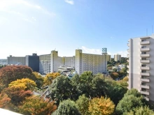 【神奈川県/横浜市旭区若葉台】若葉台団地 2-17号棟 眺望