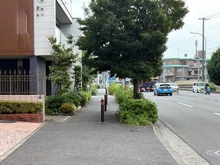 【神奈川県/横浜市緑区中山】MACビューネ中山 前面道路