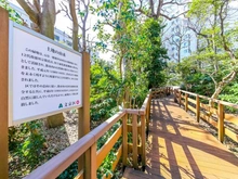 【東京都/文京区千石】千石ホームズ 文京区立千石緑地（現地より約550m）