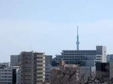 【東京都/文京区千石】ライズヒル千石 眺望：ズーム有