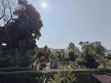 【東京都/文京区大塚】ザ・パークハウス文京護国寺 眺望
