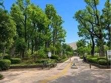 【東京都/文京区大塚】アールヴェール文京大塚公園 大塚公園（現地より約190m）