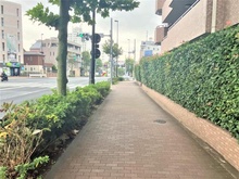 【東京都/新宿区西落合】朝日クレス・パリオ西落合 前面道路