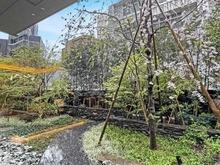 【東京都/千代田区一番町】パークコート千代田一番町 共用部