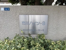 【千葉県/市川市鬼高】市川ハイツ B棟 マンション表札