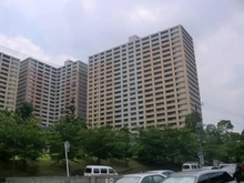 【千葉県/市川市市川南】パークシティ市川 A棟 外観