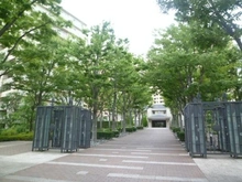 【千葉県/市川市市川南】パークシティ市川 A棟 アプローチ