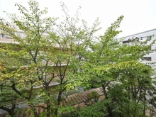 【千葉県/市川市幸】行徳芙蓉ハイツ 眺望