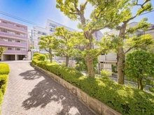 【東京都/目黒区目黒】マンション西目黒苑 404号 敷地内