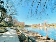 【東京都/練馬区石神井町】エクレール石神井公園 東京都立石神井公園（現地より約100m）：石神井池・公園南側から撮影