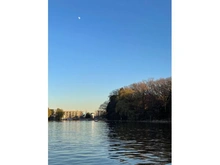 【東京都/練馬区石神井町】エクレール石神井公園 東京都立石神井公園（現地より約280m）：公園北側から撮影