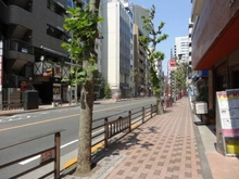 【東京都/港区赤坂】オリエント赤坂モードサイド 前面道路