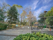 【東京都/品川区小山】パークシティ武蔵小山ザタワー 林試の森公園（現地より約550m）：