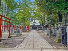 【東京都/豊島区高田】桜プレイス 鬼子母神道（現地より約1,000m）