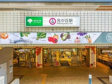 【東京都/練馬区高松】センチュリー光が丘 都営大江戸線「光が丘」駅（現地より約800m）