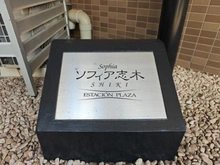 【埼玉県/新座市東北】ソフィア志木 マンション表札