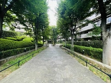 【埼玉県/ふじみ野市大井】コスモふじみ野センターフォーラム アプローチ