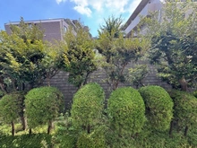 【東京都/板橋区徳丸】ワコー徳丸マンション 眺望