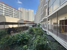 【埼玉県/和光市白子】DIKマンション和光 D棟 敷地内