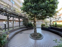 【埼玉県/和光市白子】ライオンズヒルズ和光 敷地内