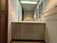 【埼玉県/富士見市ふじみ野西】アイムふじみ野 南二番館 洗面室