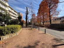 【東京都/板橋区赤塚新町】光が丘パークタウンゆりの木通り北住宅 6号棟 敷地内