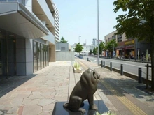 【埼玉県/ふじみ野市霞ケ丘】ライオンズ上福岡ステーションマークス 前面道路