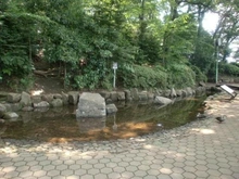 【埼玉県/朝霞市溝沼】ライオンズ朝霞マークスフォート  市立滝の根公園（現地より約200m）