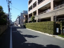 【東京都/練馬区錦】ヒルズ城北中央公園 前面道路