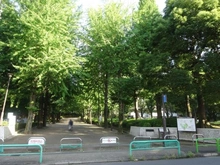 【東京都/練馬区錦】ヒルズ城北中央公園 東京都立城北中央公園（現地より約160m）