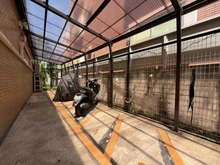 【東京都/板橋区上板橋】ライオンズマンション上板橋 バイク置き場