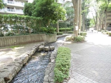 【埼玉県/和光市本町】シーアイハイツ和光 I棟 敷地内