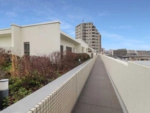【神奈川県/川崎市中原区上小田中】アトラスアリーナ武蔵新城ホーフハウス 敷地内