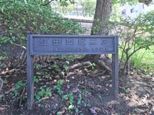 【神奈川県/横浜市青葉区荏田北】東急ドエル江田ロビニア マンション表札