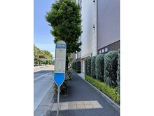 【東京都/世田谷区砧】サンクタスガーデン砧 「実相寺前」バス停（現地より約60m）：