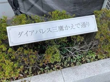 【東京都/三鷹市深大寺】ダイアパレス三鷹かえで通り マンション表札