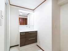 【東京都/稲城市押立】セレーネ多摩川 洗面所