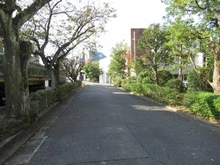 【神奈川県/横浜市港北区大曽根】大倉山ヒルタウン1号館 前面道路