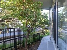 【神奈川県/川崎市多摩区堰】メゾンドール多摩川 専用庭